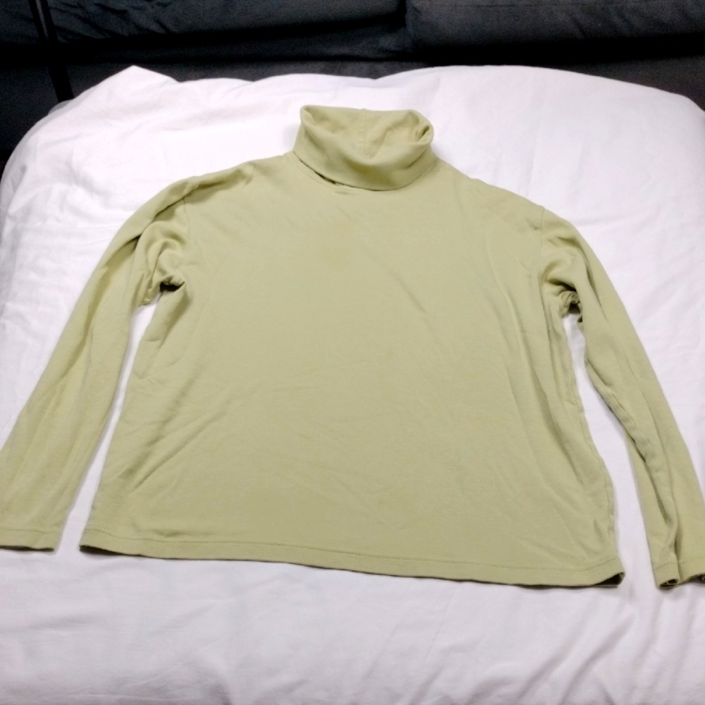 Pendleton Women's Turtle Neck Size Medium - image 1